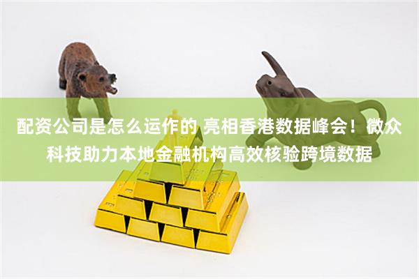 配资公司是怎么运作的 亮相香港数据峰会！微众科技助力本地金融机构高效核验跨境数据