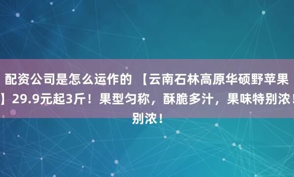 配资公司是怎么运作的 【云南石林高原华硕野苹果】29.9元起3斤！果型匀称，酥脆多汁，果味特别浓！